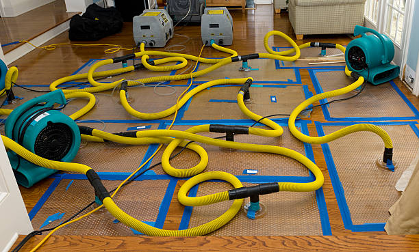 Professional Crawl Space Water Removal technician working in Melissa, TX